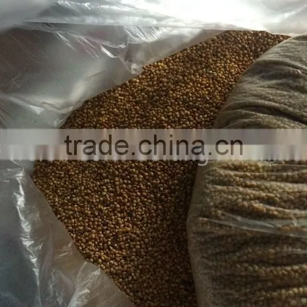 Metak Belt Type Plastic Sorting Machine photo-4