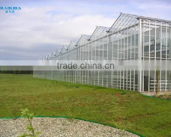 BaoLiDa Large Multi-span Greenhouse Easily Installed PC Sheet Covered Greenhouse photo-2