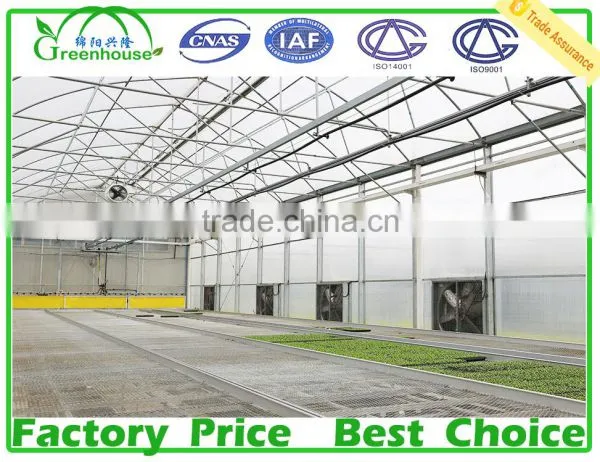 200 Micron UV Resistant Multi Span Plastic Film Agricultural Commercial Greenhouse photo-4