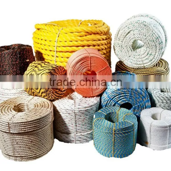 Polyester Webbing photo-6
