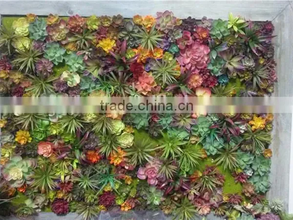 Home and Outdoor Decoration Synthetic Cheap Artificial Vertical Green Grass Succulent Wall E08 04C44 photo-4