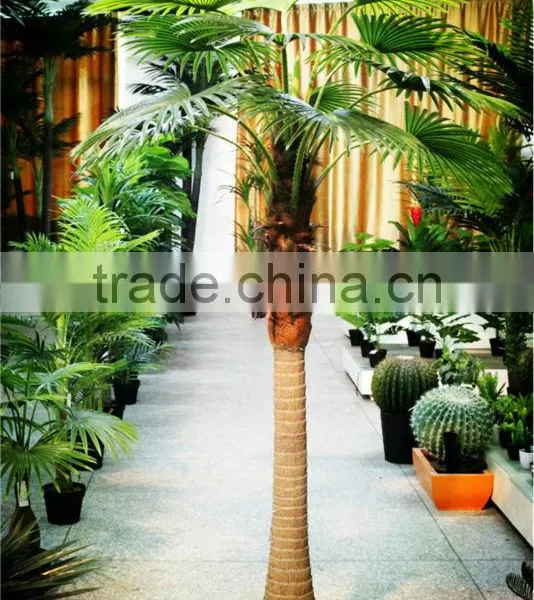2017 Artificial Outdoor Palm Tree Plastic Palm Tree Palm Trees Sale photo-6