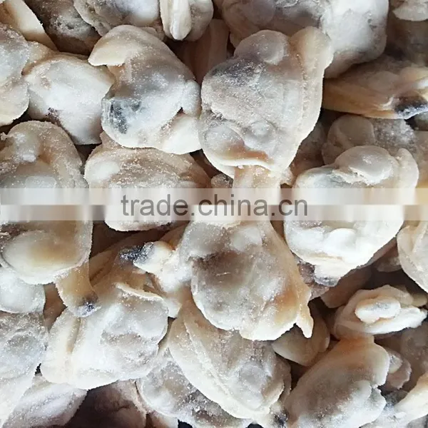 Frozen Baby Clam Size 41-50 photo-2