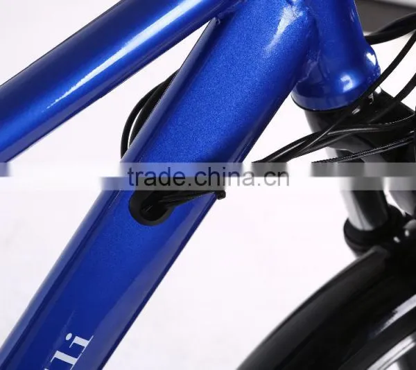 Factory Price Best-selling Cheap Electric Mountain Bike for Sale photo-5