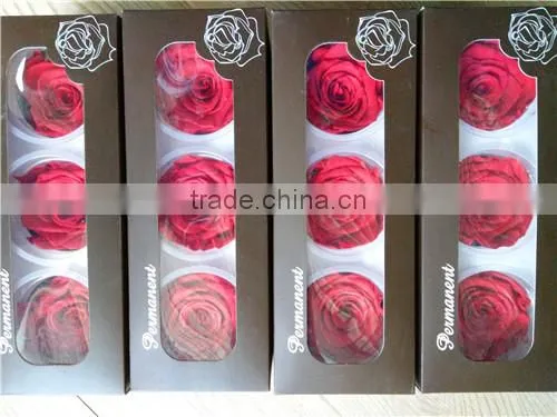 Eternal Rose Big Rose Head A Grade Preserved Rose 6-7 cm for Sale photo-2