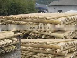 Eco-friendly bamboo canes with best price