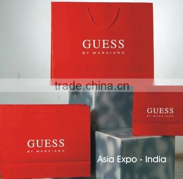 Brand Promotion Paper Bags With Logo and Brand Photos photo-5