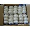 Normal White Garlic (3pcs/small Bag in 10kg/ctn) photo-2