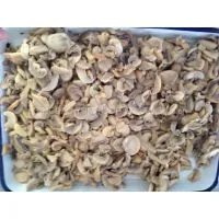 Canned Mushroom