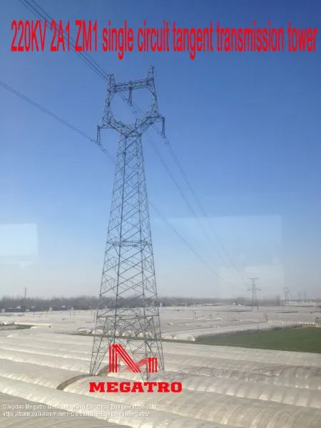 MEGATRO 220KV 2A1 ZM1 Single Circuit Tangent Transmission Tower photo-2