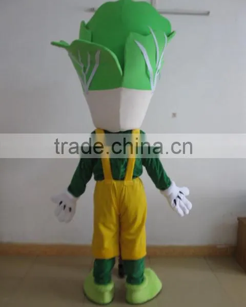 EVA Plush Material Vegetable Mascot Costume Vegetable Mascot for Adult photo-3