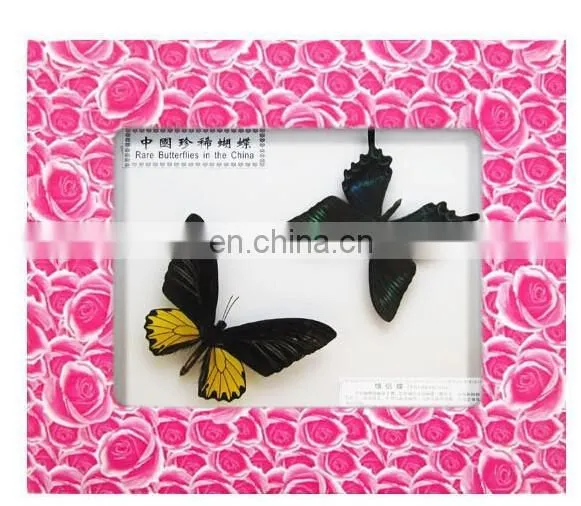 Dry Framed Butterfly Frame Wholesale LOW MOQ Good Quality photo-5