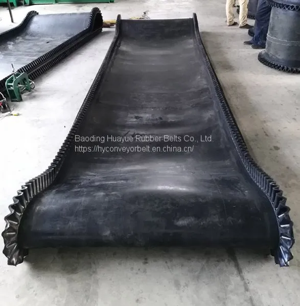 Sidewall Conveyor Belt photo-2