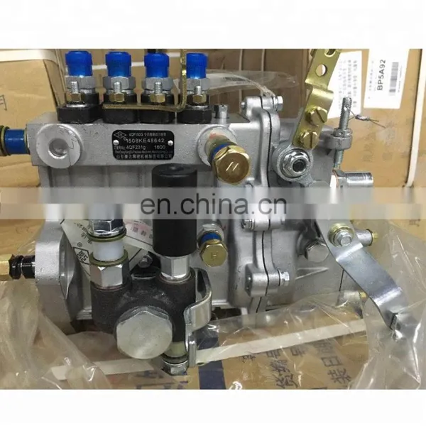 4QF231g Injection Pump 4QF150g 485QB/3200 Injection Pump photo-4