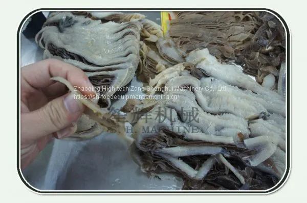 Meat Fish Slicing Machine photo-4