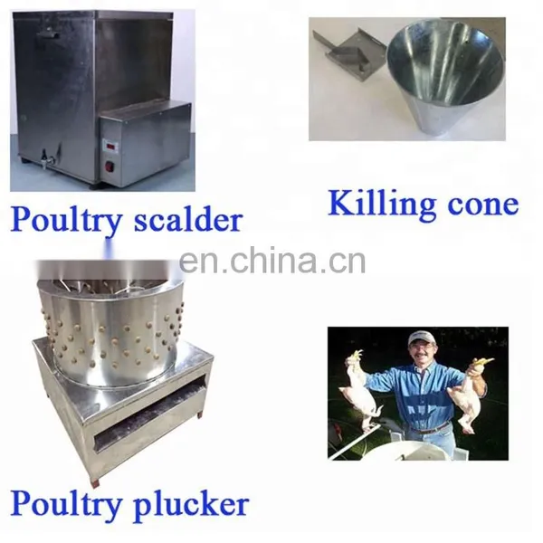 TM-65 Stainless Steel Poultry Plucker Used Turkey Chicken Goose Feather Plucking Machine/poultry Feather Plucking Machine photo-6