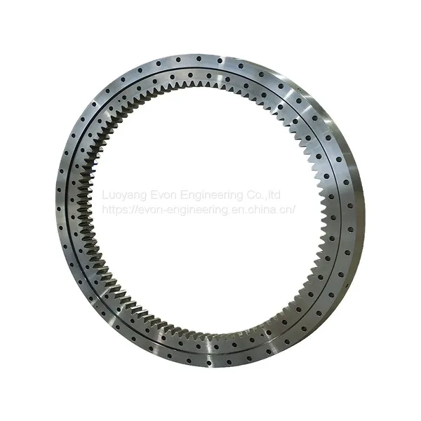 Ight Series Non Gear Hot Sale Flange Type Slewing Bearing for Recreational Facilities photo-2