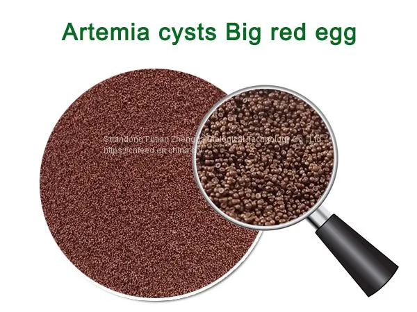 Artemia Cysts Big Red Egg