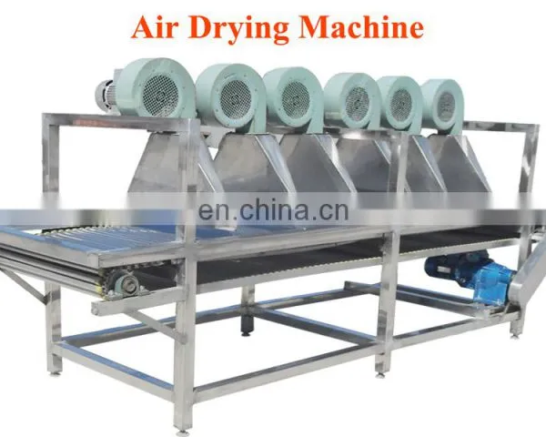 Date Washing Line Saudi Arabia Dates Cleaning Equipment Jujube Processing Sorting Machine photo-4