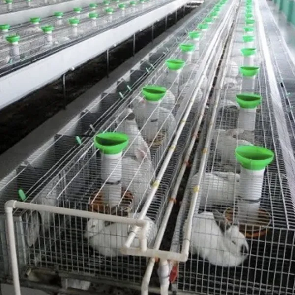 Industrial Breeding Rabbit Cages System for Rabbit Raising Industry 24/set
