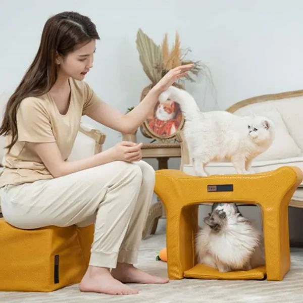 Shared bench for humans and pets