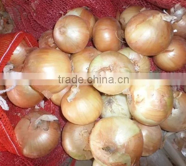 2015 Crop Fresh Yellow Onion Supplier From China photo-2