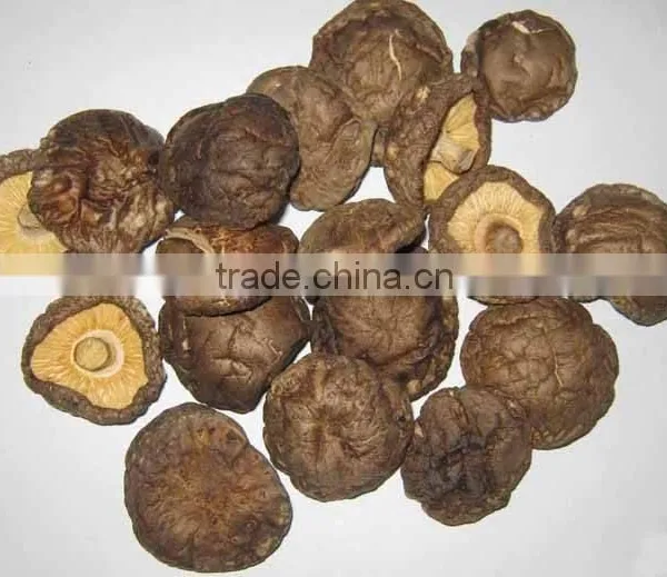 CT-C Series Hot Air Circulating Drying Oven for Mushroom photo-4