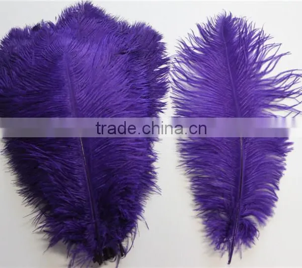 14"-16" Wholesale Purple Ostrich Feather Fabric For Ostrich Feather Fan Decoration photo-5