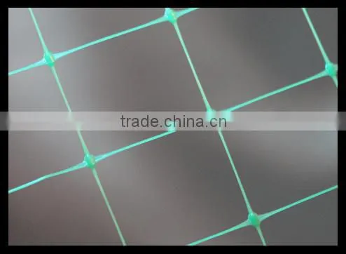 PP Erosion Control Net /Slope Protection Net Manufacture photo-5