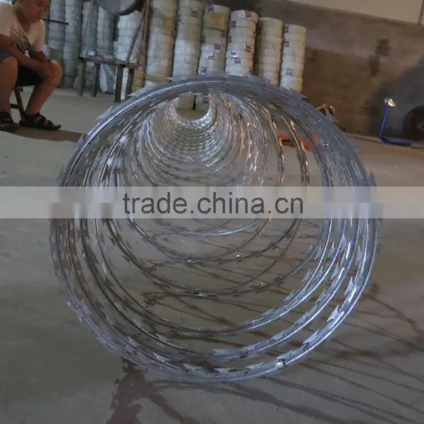Motto Barbed Wire Price photo-3