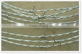 Galvanized and Pvc Barbed Wire Barbed Wire photo-6
