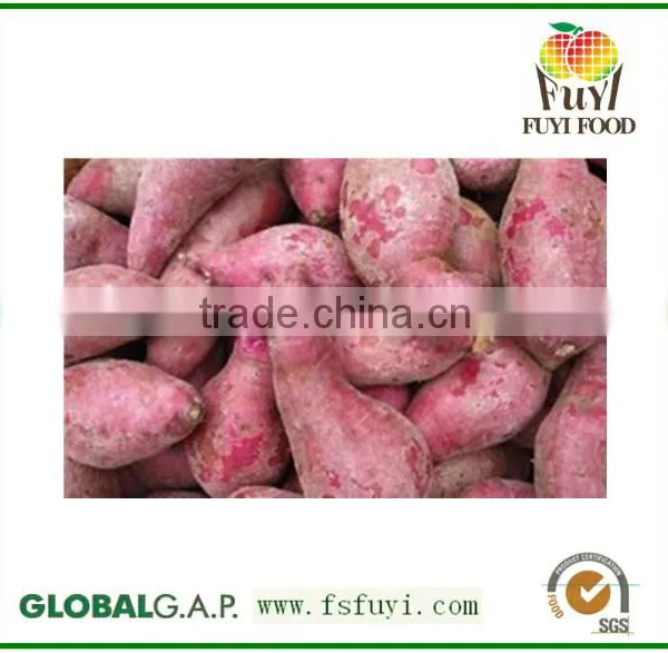 2015 China 100% Fresh Sweet Potato Rich in Fiber photo-2