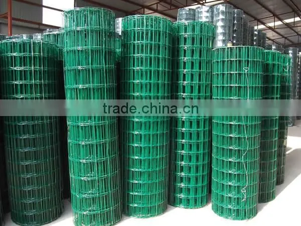 China Holland Wire Mesh