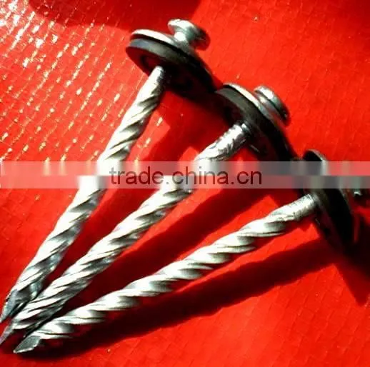 Togo Market Twisted Nails photo-6