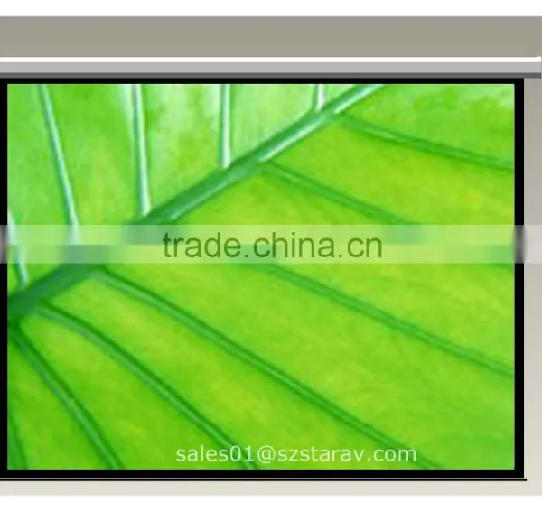 Hot Cheap Electronic Motorized Screen China Supplier 16:9 4:3 Standard Housing 1 Year Warranty photo-2