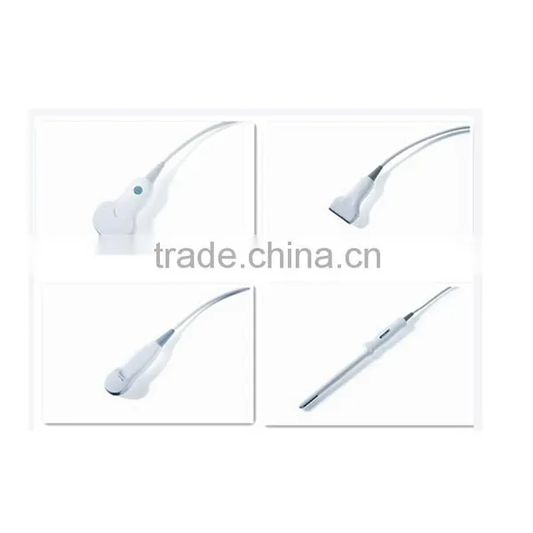 China Beijing 10.7 Inch Color LCD 2B Ultrasound Imaging System Laptop Ultrasound Scanner With CE ISO Approved photo-2
