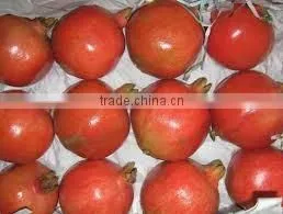 Fresh Organic Pomegranate