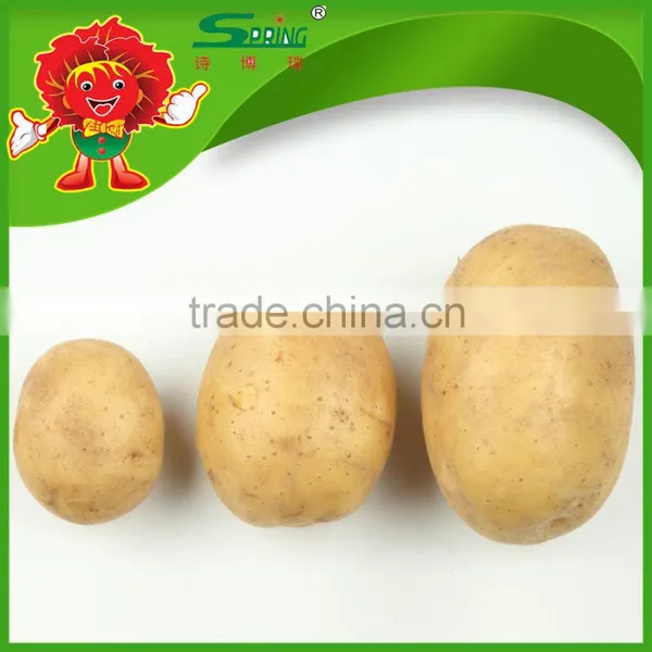 All Year Round Yellow Potato Fresh Purple Sweet Potato photo-3