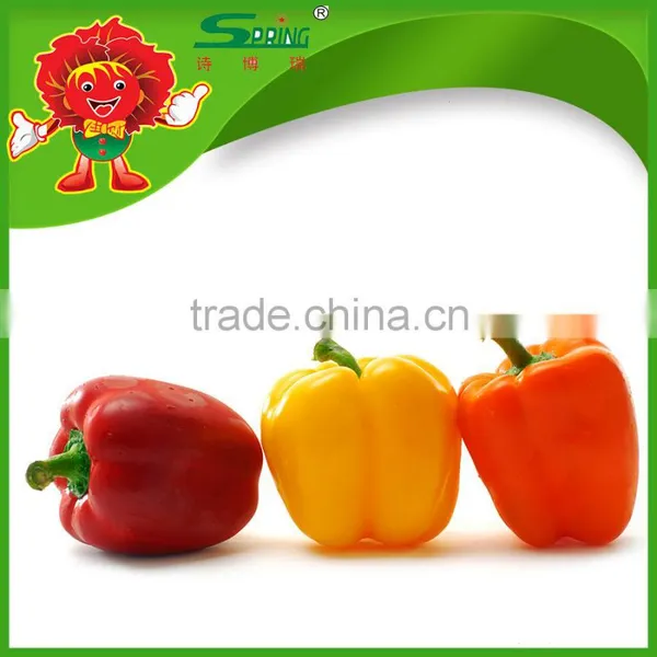 Bell Pepper/Color Pepper photo-6