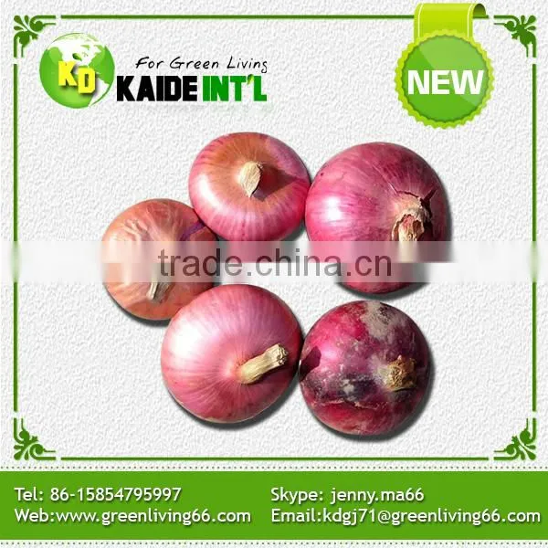 World Best Selling Products Grade A Fresh Onions photo-6