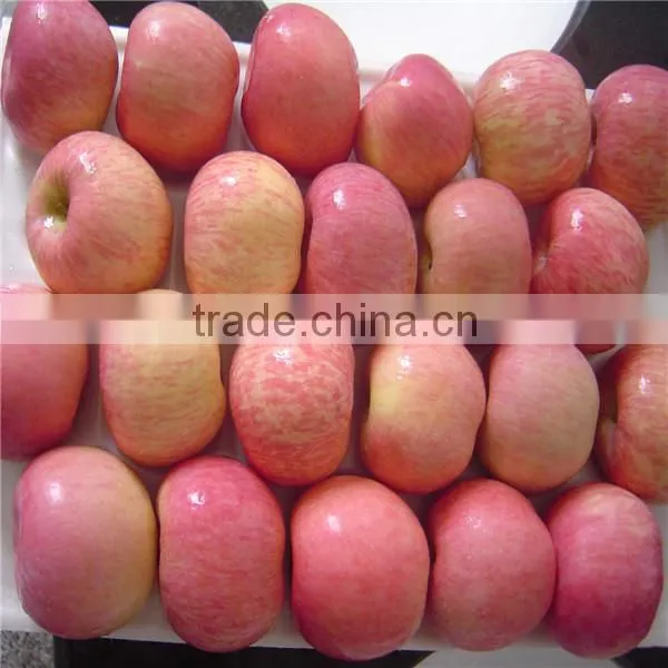 Apple Supplier From China /2016new Crop Fresh Apple photo-3