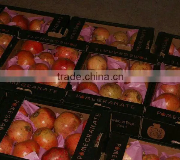 Fresh Pomegranate 2015 photo-5
