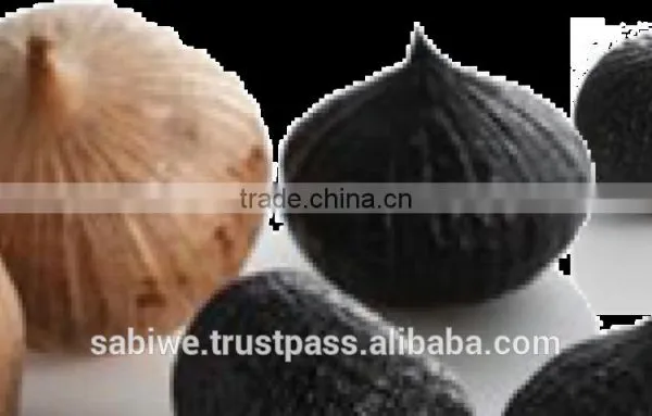 High Quality Single Clove Black Garlic Made in Vietnam photo-3