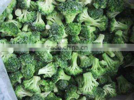 IQF Vegetables Broccoli Frozen Broccoli Factory Best Sell