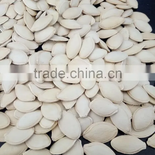 Hot Sale Big Size 10-11mm Chinese Pumpkin Seeds photo-2