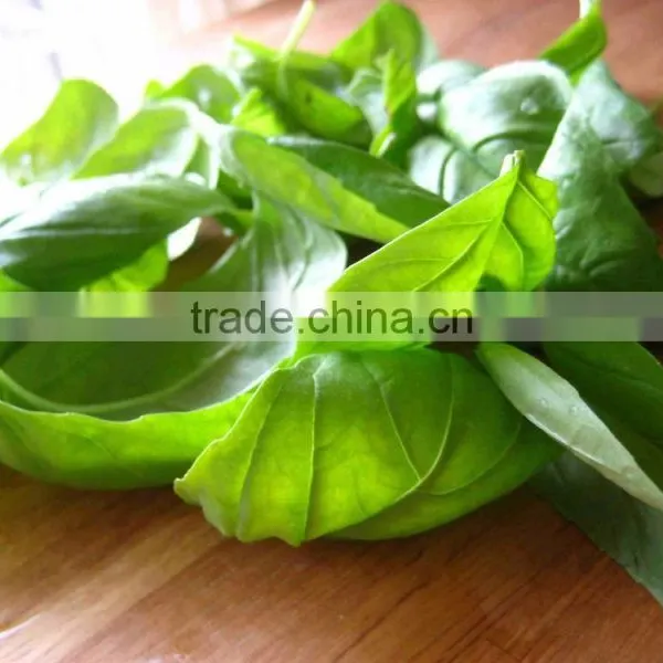 High Quality Basil Oil photo-4