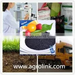 100% Water Soluble Seaweed Extract Flake&powder photo-4