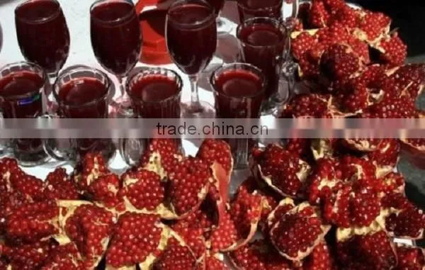 New Generation Heavy Duty Commercial and Household Manual Juicer,juicer Press ,more Higher Juice Yield photo-5