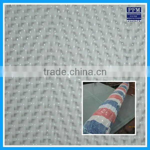 Polyester Monofilament Sludge Dewatering Conveyor Belt in Power Plant