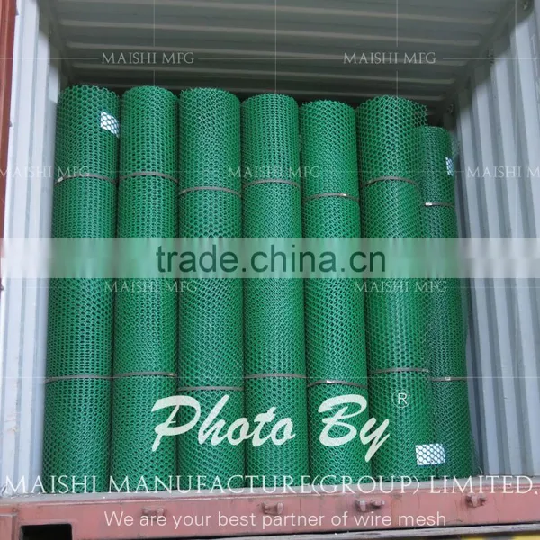 Grass Reinforcement Plastic Net photo-6